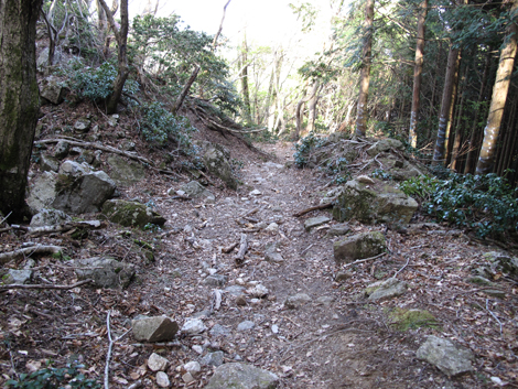 20140502hike (399)